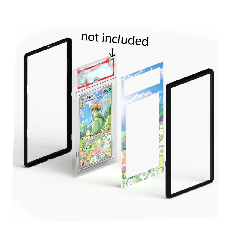 Espositore per Carte PTCG Lugi - Model Kit Lugia recensione e prezzo